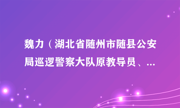 魏力（湖北省随州市随县公安局巡逻警察大队原教导员、警务督察大队原大队长）