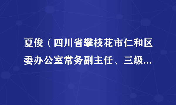 夏俊（四川省攀枝花市仁和区委办公室常务副主任、三级调研员）