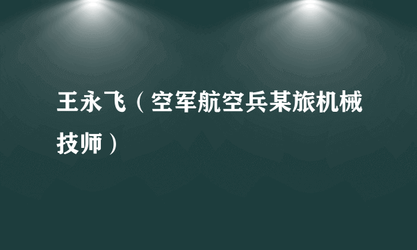 王永飞（空军航空兵某旅机械技师）