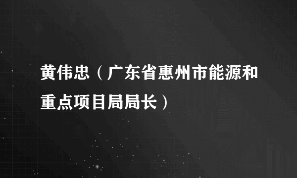 黄伟忠（广东省惠州市能源和重点项目局局长）