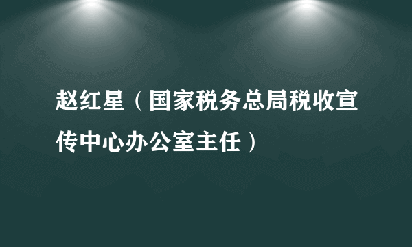 赵红星（国家税务总局税收宣传中心办公室主任）