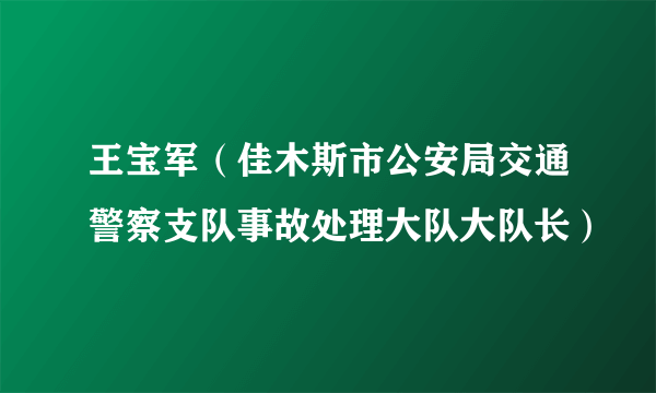 王宝军（佳木斯市公安局交通警察支队事故处理大队大队长）