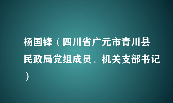 杨国锋（四川省广元市青川县民政局党组成员、机关支部书记）