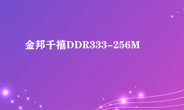 金邦千禧DDR333-256M