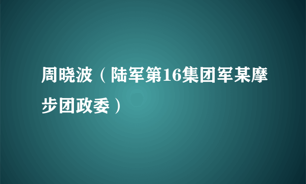 周晓波（陆军第16集团军某摩步团政委）