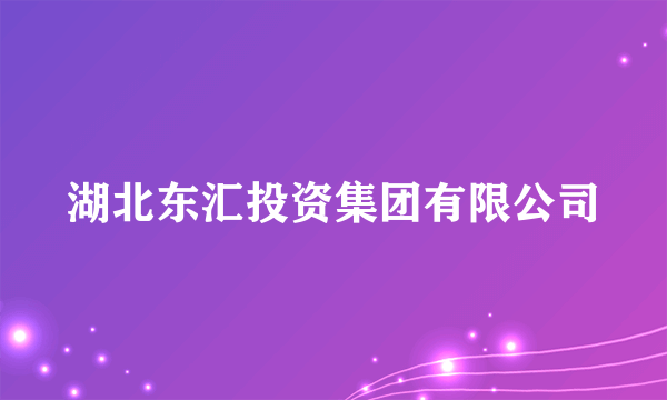 湖北东汇投资集团有限公司