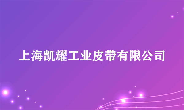 上海凯耀工业皮带有限公司