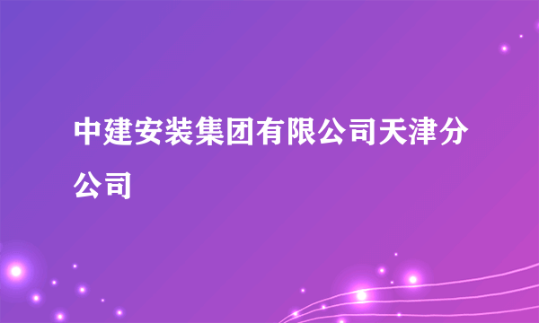 中建安装集团有限公司天津分公司