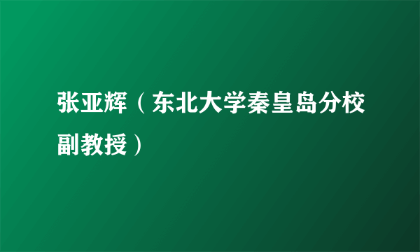 张亚辉（东北大学秦皇岛分校副教授）