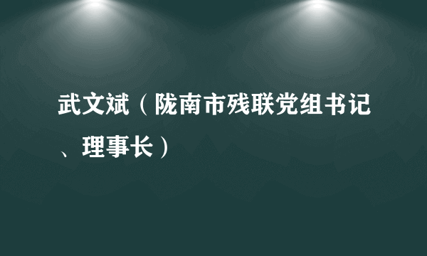 武文斌（陇南市残联党组书记、理事长）