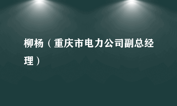 柳杨（重庆市电力公司副总经理）