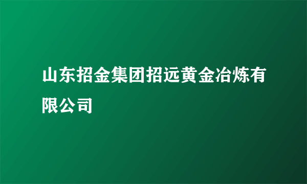 山东招金集团招远黄金冶炼有限公司