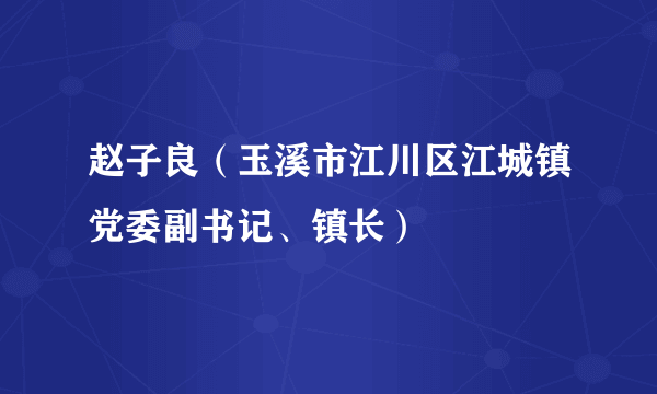 赵子良（玉溪市江川区江城镇党委副书记、镇长）