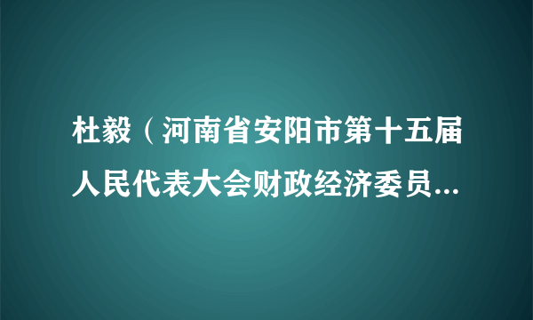 杜毅（河南省安阳市第十五届人民代表大会财政经济委员会副主任）