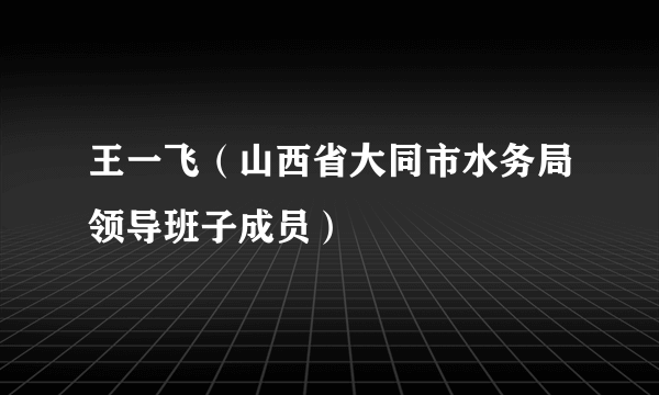 王一飞（山西省大同市水务局领导班子成员）