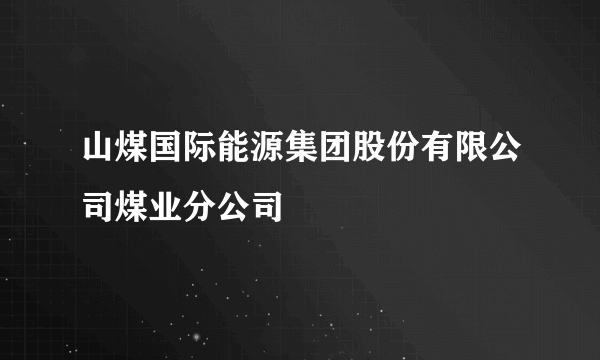 山煤国际能源集团股份有限公司煤业分公司