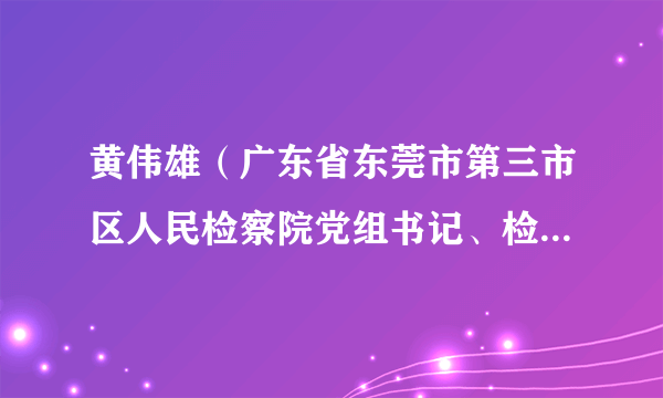 黄伟雄（广东省东莞市第三市区人民检察院党组书记、检察长、检察委员会委员、检察员）