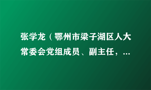 张学龙（鄂州市梁子湖区人大常委会党组成员、副主任，太和镇党委书记）