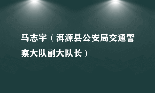 马志宇（洱源县公安局交通警察大队副大队长）