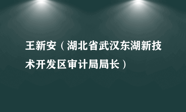 王新安（湖北省武汉东湖新技术开发区审计局局长）