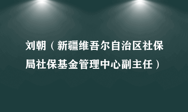 刘朝（新疆维吾尔自治区社保局社保基金管理中心副主任）