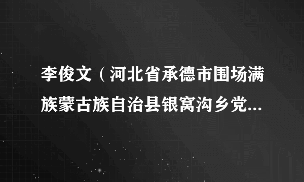 李俊文（河北省承德市围场满族蒙古族自治县银窝沟乡党委书记）