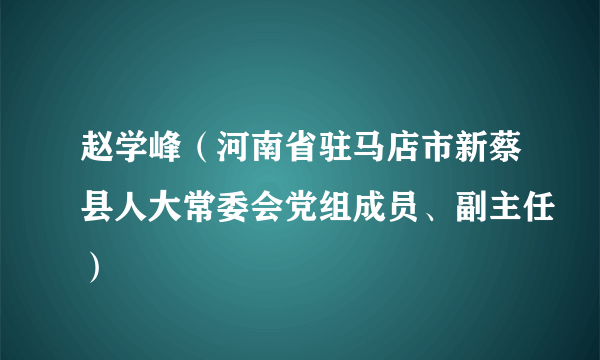 赵学峰（河南省驻马店市新蔡县人大常委会党组成员、副主任）