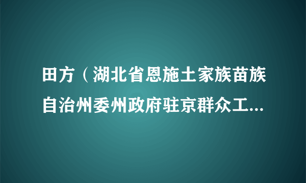 田方（湖北省恩施土家族苗族自治州委州政府驻京群众工作办公室副主任）