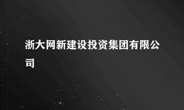 浙大网新建设投资集团有限公司