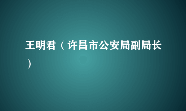 王明君（许昌市公安局副局长）