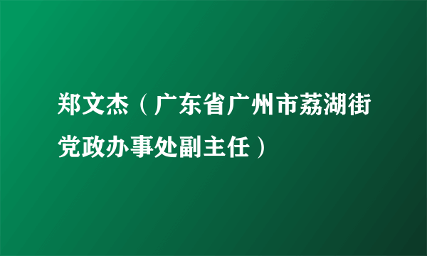 郑文杰（广东省广州市荔湖街党政办事处副主任）