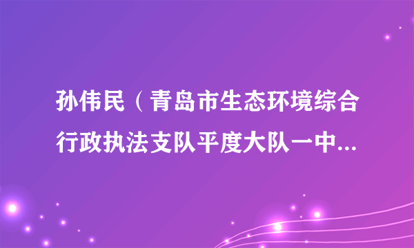 孙伟民（青岛市生态环境综合行政执法支队平度大队一中队中队长）