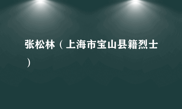 张松林（上海市宝山县籍烈士）