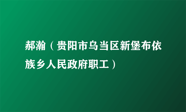 郝瀚（贵阳市乌当区新堡布依族乡人民政府职工）