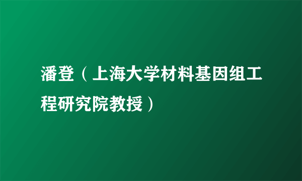 潘登（上海大学材料基因组工程研究院教授）