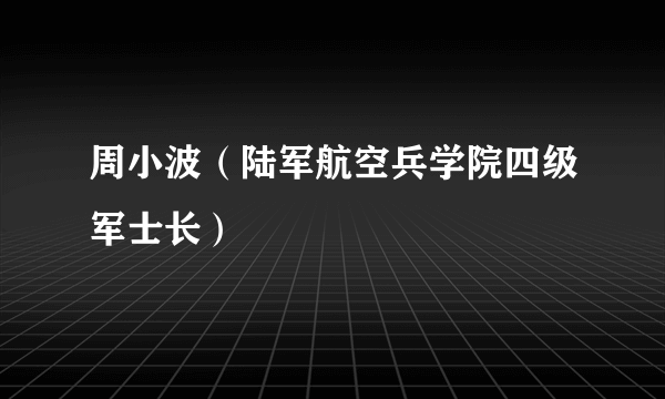 周小波（陆军航空兵学院四级军士长）