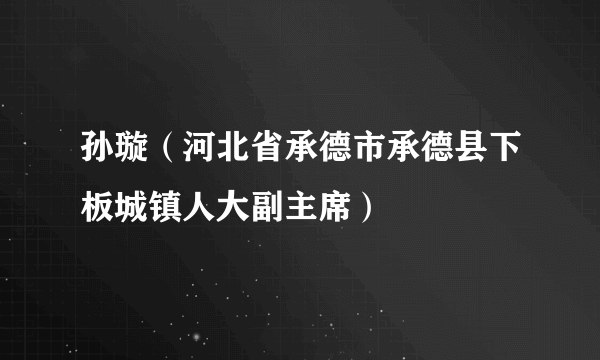 孙璇（河北省承德市承德县下板城镇人大副主席）