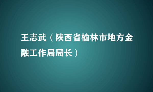 王志武（陕西省榆林市地方金融工作局局长）