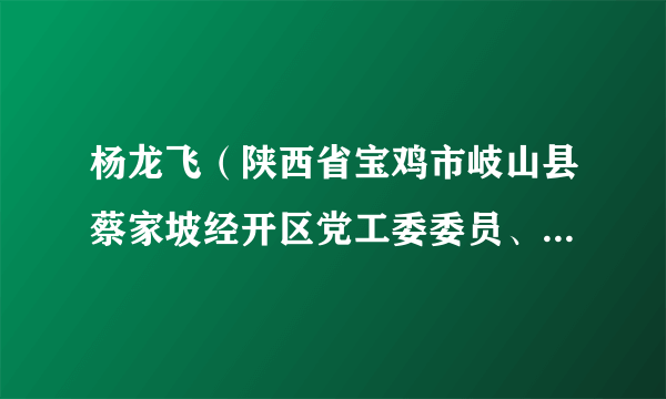 杨龙飞（陕西省宝鸡市岐山县蔡家坡经开区党工委委员、蔡家坡镇党委副书记、蔡家坡镇镇长）