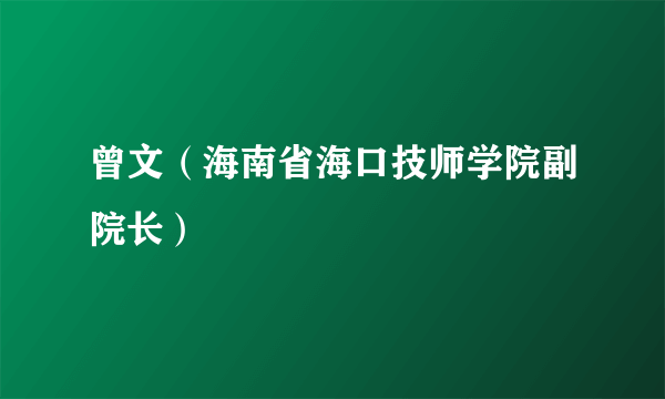 曾文（海南省海口技师学院副院长）