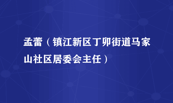 孟蕾（镇江新区丁卯街道马家山社区居委会主任）