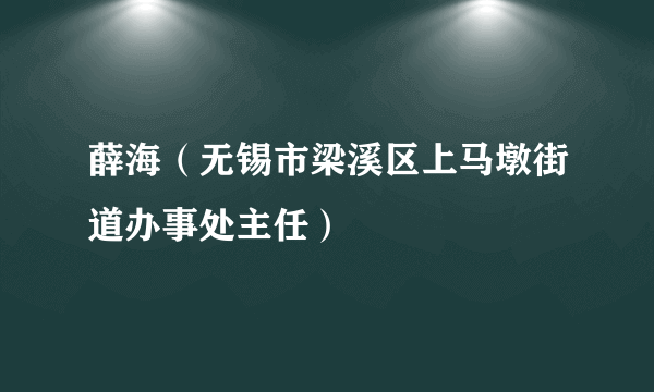 薛海（无锡市梁溪区上马墩街道办事处主任）