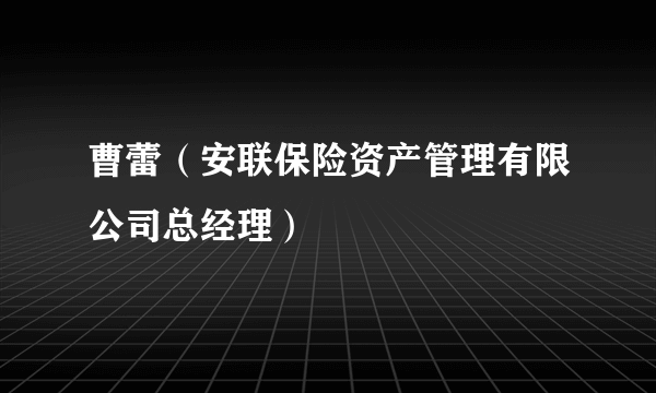 曹蕾（安联保险资产管理有限公司总经理）