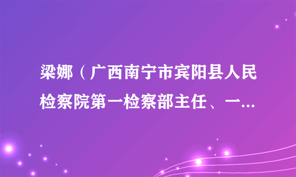 梁娜（广西南宁市宾阳县人民检察院第一检察部主任、一级检察官）