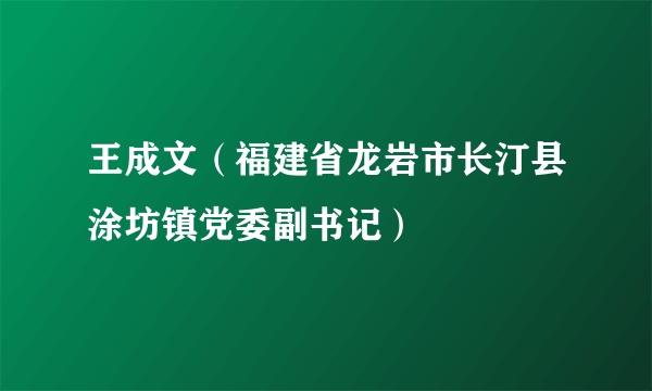 王成文（福建省龙岩市长汀县涂坊镇党委副书记）