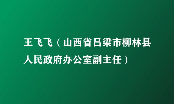 王飞飞（山西省吕梁市柳林县人民政府办公室副主任）