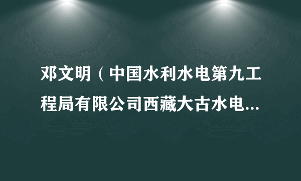 邓文明（中国水利水电第九工程局有限公司西藏大古水电站施工局副总工程师）