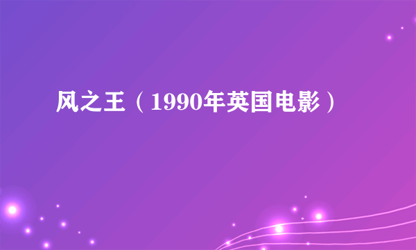 风之王（1990年英国电影）