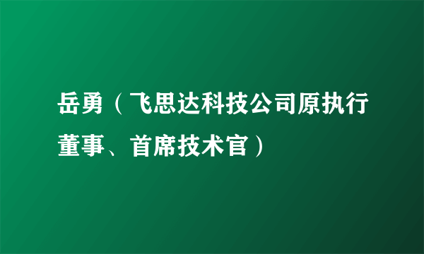 岳勇（飞思达科技公司原执行董事、首席技术官）