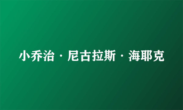 小乔治·尼古拉斯·海耶克